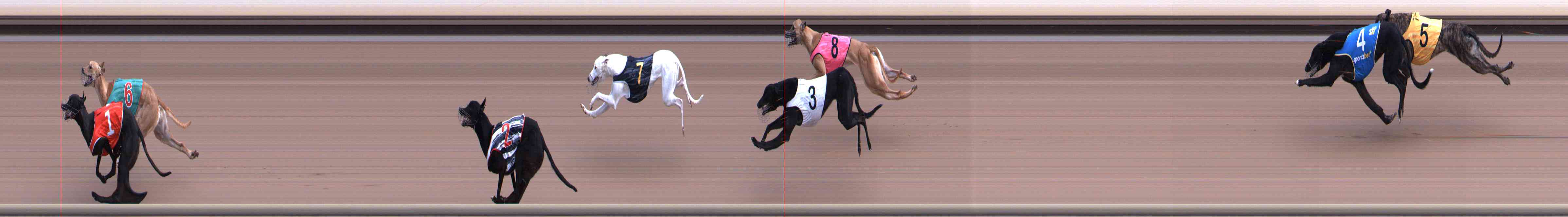 Race result finish photo